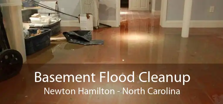 Basement Flood Cleanup Newton Hamilton - North Carolina