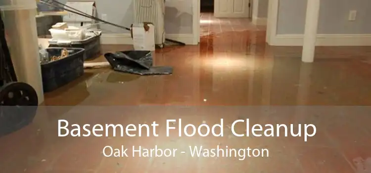 Basement Flood Cleanup Oak Harbor - Washington