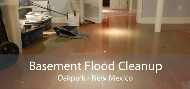 Basement Flood Cleanup Oakpark - New Mexico
