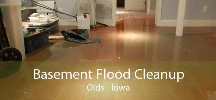 Basement Flood Cleanup Olds - Iowa
