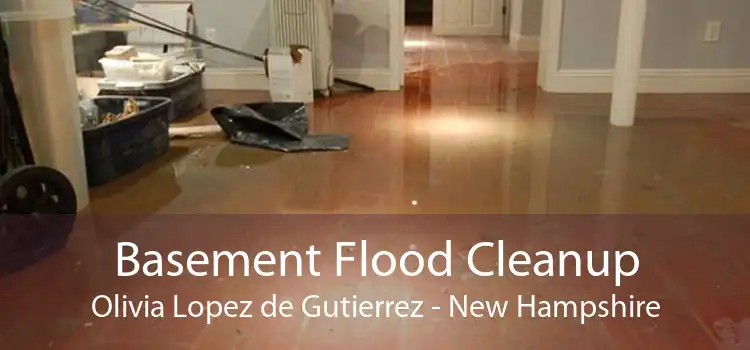 Basement Flood Cleanup Olivia Lopez de Gutierrez - New Hampshire