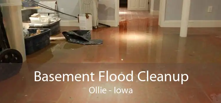 Basement Flood Cleanup Ollie - Iowa