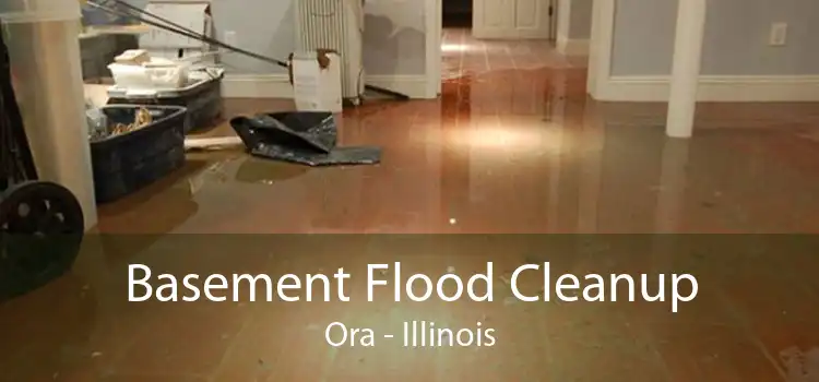 Basement Flood Cleanup Ora - Illinois