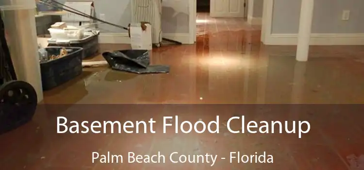 Basement Flood Cleanup Palm Beach County - Florida