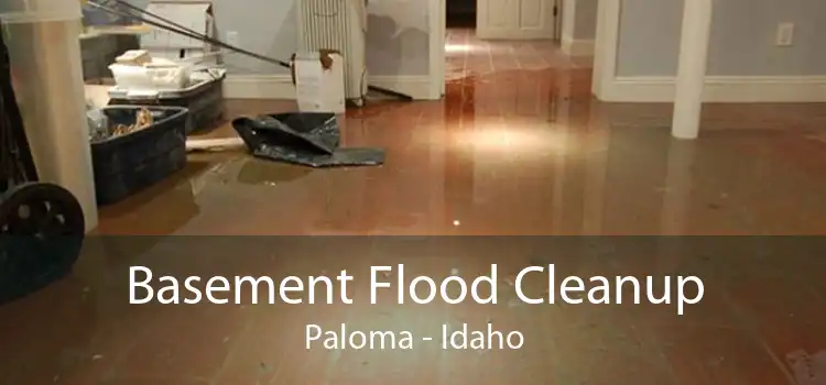 Basement Flood Cleanup Paloma - Idaho
