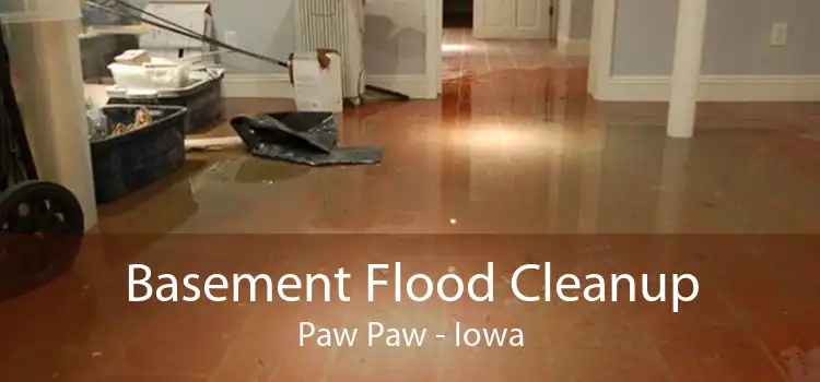 Basement Flood Cleanup Paw Paw - Iowa