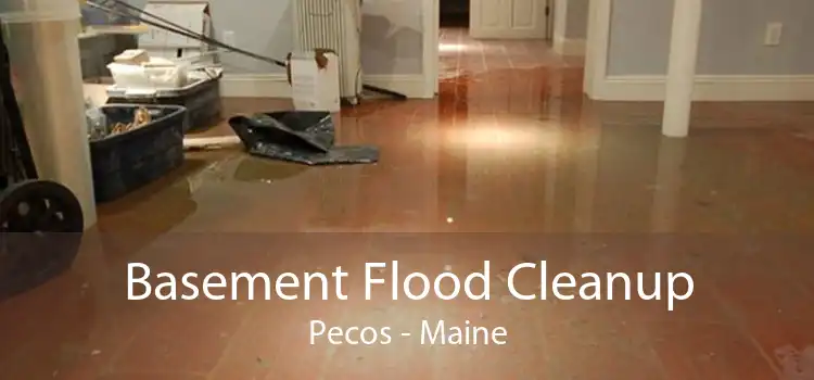 Basement Flood Cleanup Pecos - Maine