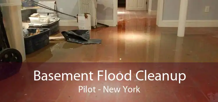 Basement Flood Cleanup Pilot - New York