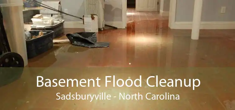 Basement Flood Cleanup Sadsburyville - North Carolina