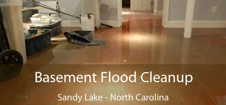 Basement Flood Cleanup Sandy Lake - North Carolina