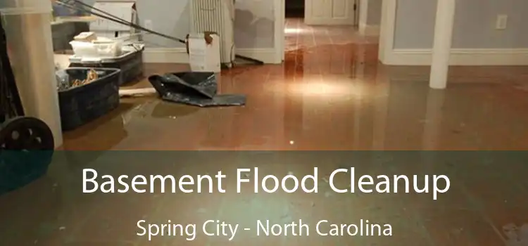 Basement Flood Cleanup Spring City - North Carolina