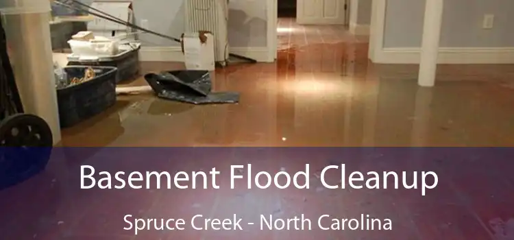 Basement Flood Cleanup Spruce Creek - North Carolina