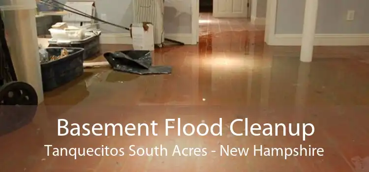 Basement Flood Cleanup Tanquecitos South Acres - New Hampshire