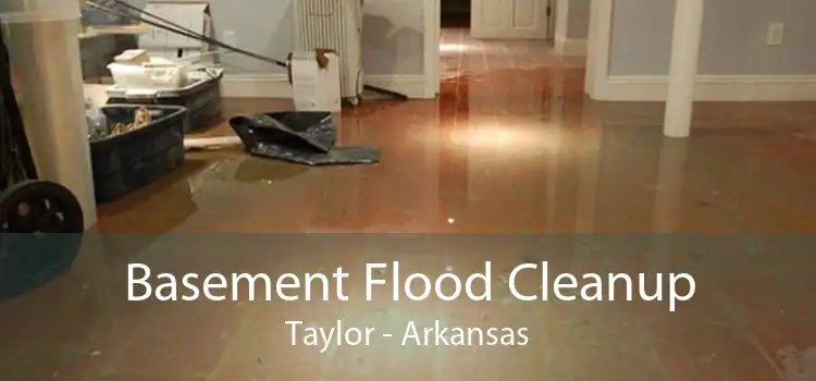 Basement Flood Cleanup Taylor - Arkansas