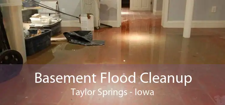 Basement Flood Cleanup Taylor Springs - Iowa