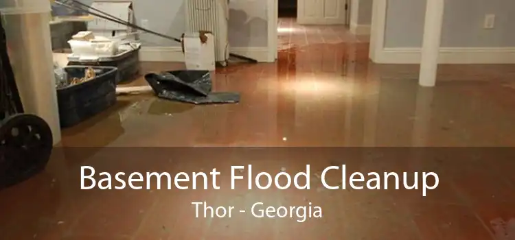 Basement Flood Cleanup Thor - Georgia