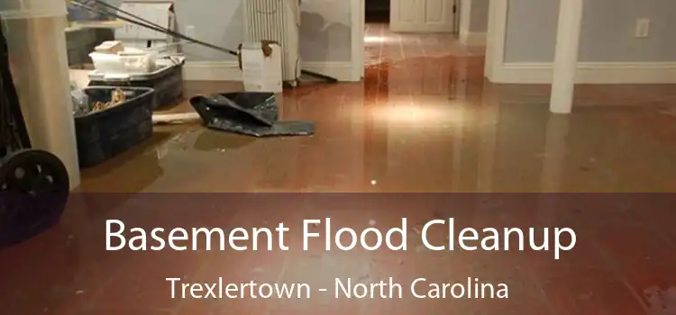 Basement Flood Cleanup Trexlertown - North Carolina