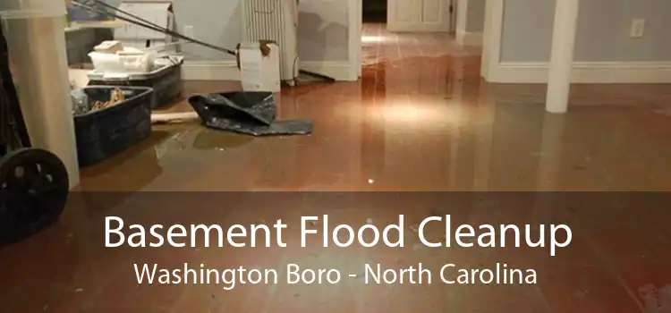 Basement Flood Cleanup Washington Boro - North Carolina