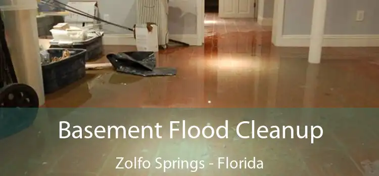 Basement Flood Cleanup Zolfo Springs - Florida