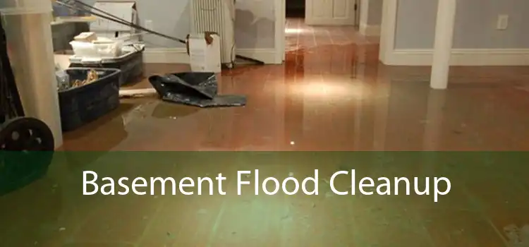 Basement Flood Cleanup 