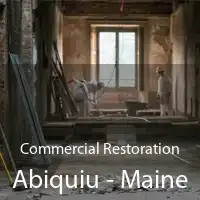 Commercial Restoration Abiquiu - Maine