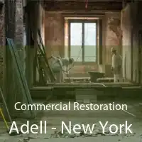 Commercial Restoration Adell - New York