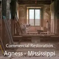 Commercial Restoration Agness - Mississippi