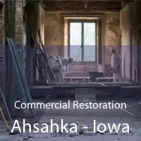 Commercial Restoration Ahsahka - Iowa