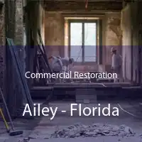 Commercial Restoration Ailey - Florida