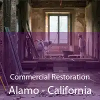 Commercial Restoration Alamo - California