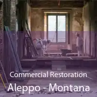 Commercial Restoration Aleppo - Montana