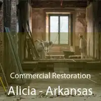 Commercial Restoration Alicia - Arkansas