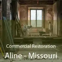 Commercial Restoration Aline - Missouri