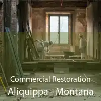 Commercial Restoration Aliquippa - Montana