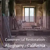 Commercial Restoration Alleghany - California