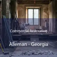 Commercial Restoration Alleman - Georgia