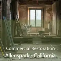 Commercial Restoration Allenspark - California