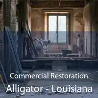 Commercial Restoration Alligator - Louisiana