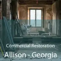 Commercial Restoration Allison - Georgia
