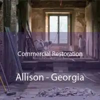 Commercial Restoration Allison - Georgia