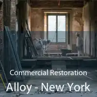 Commercial Restoration Alloy - New York