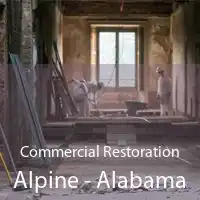 Commercial Restoration Alpine - Alabama