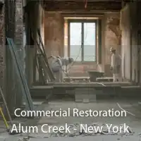 Commercial Restoration Alum Creek - New York