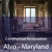 Commercial Restoration Alvo - Maryland