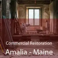 Commercial Restoration Amalia - Maine