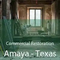 Commercial Restoration Amaya - Texas