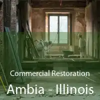 Commercial Restoration Ambia - Illinois