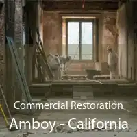 Commercial Restoration Amboy - California