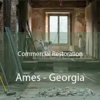 Commercial Restoration Ames - Georgia