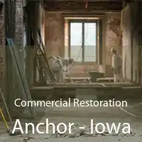 Commercial Restoration Anchor - Iowa